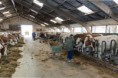/album/de-scheerskamp-in-beeld/a2017-04-13descheerskamptonrothengatter05-jpg/