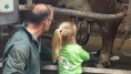 /album/de-scheerskamp-in-beeld/a20190423-114442-jpg/